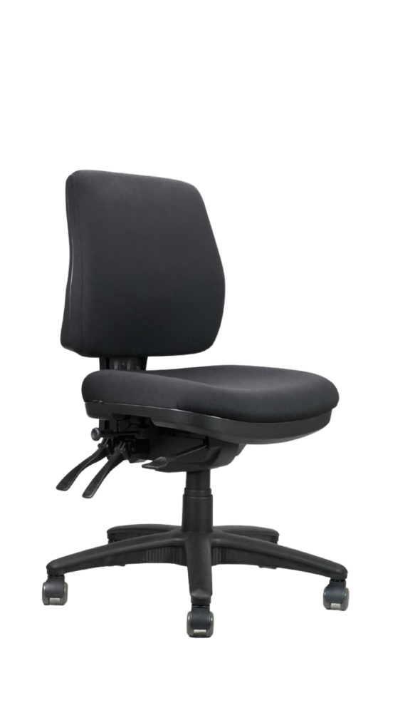Ergo Midi Chair