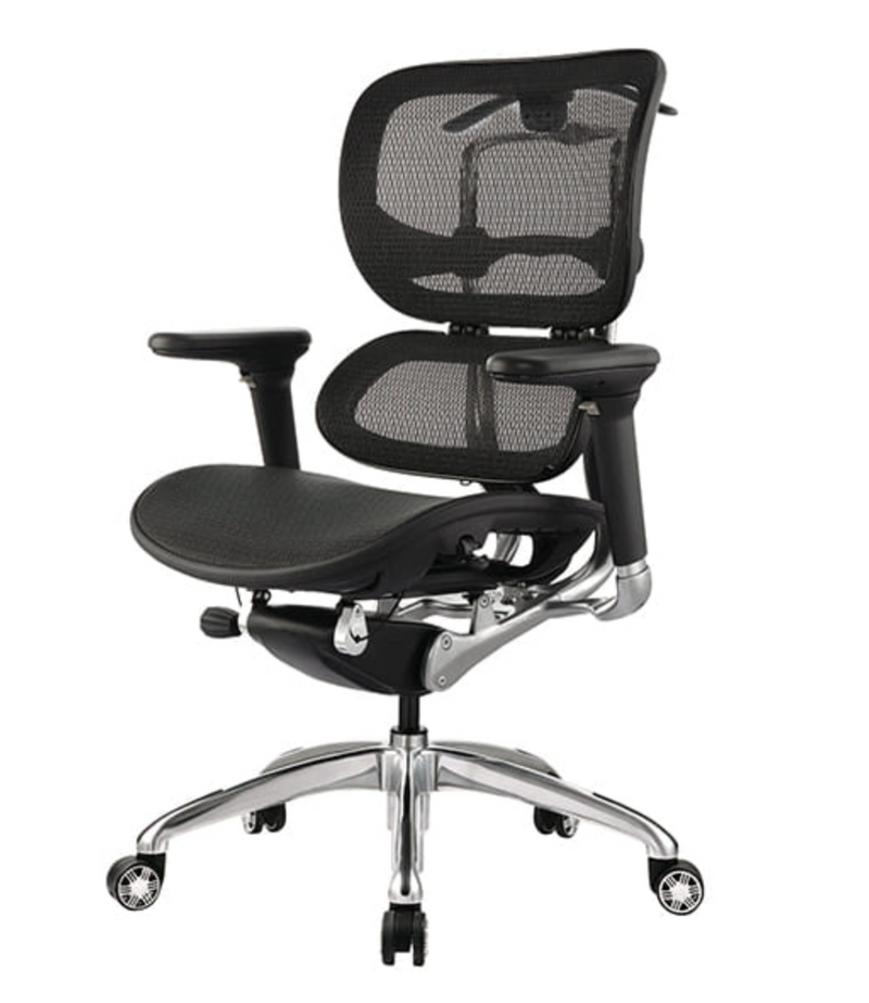 Ergo 1L Office Chairs