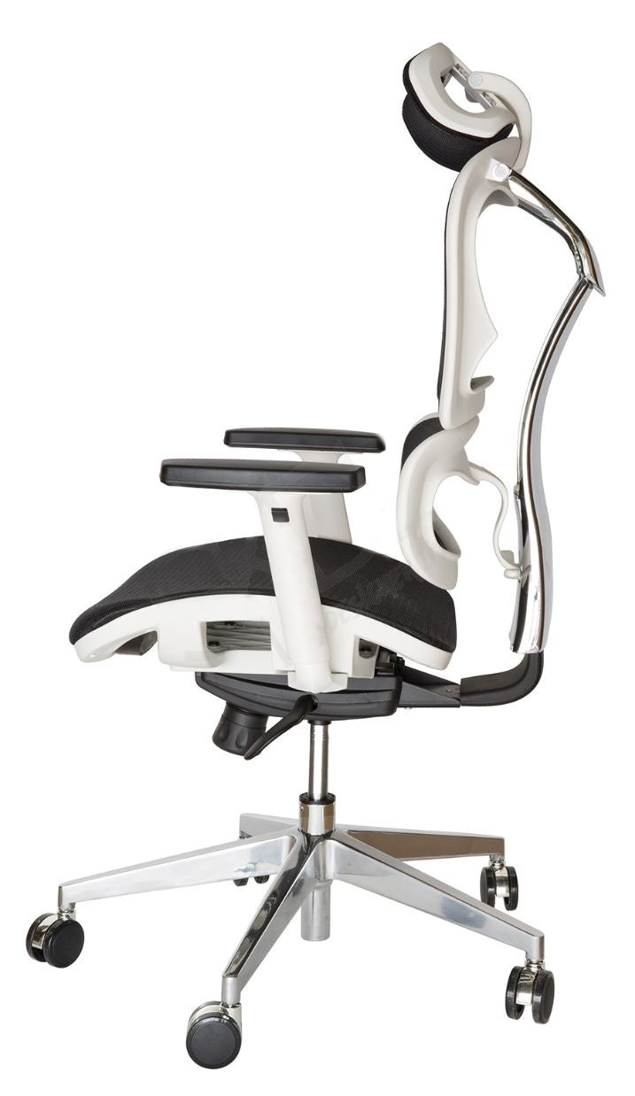 Ergohuman Plus Replica - Task / Desk Chairs