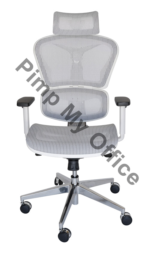 Ergohuman Ergonomic Japanese Mesh Desk / Office Chair