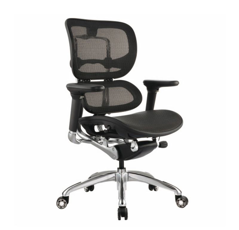 Ergo 1L Office Chairs
