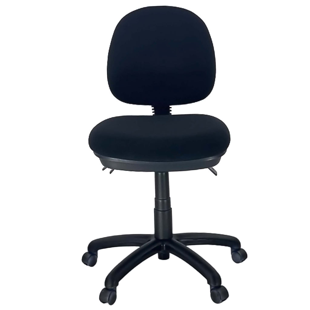DURO-AFRDI-Medium-Back-Office-Task-Chair-Posture-Support