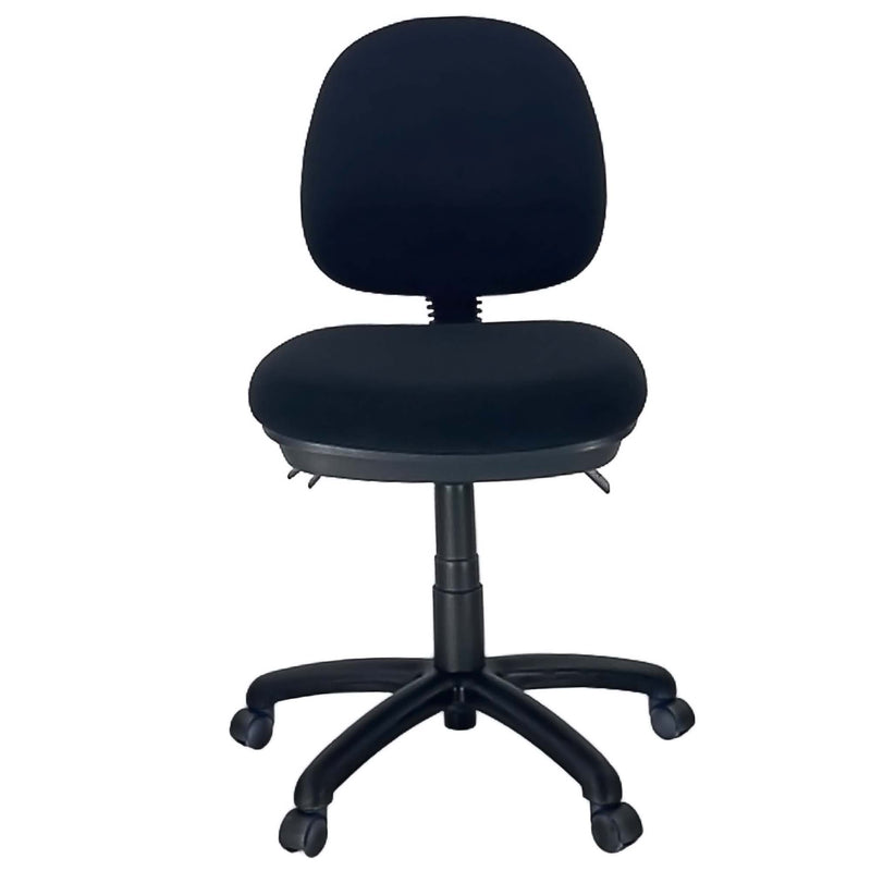 DURO-AFRDI-Medium-Back-Office-Task-Chair-Posture-Support