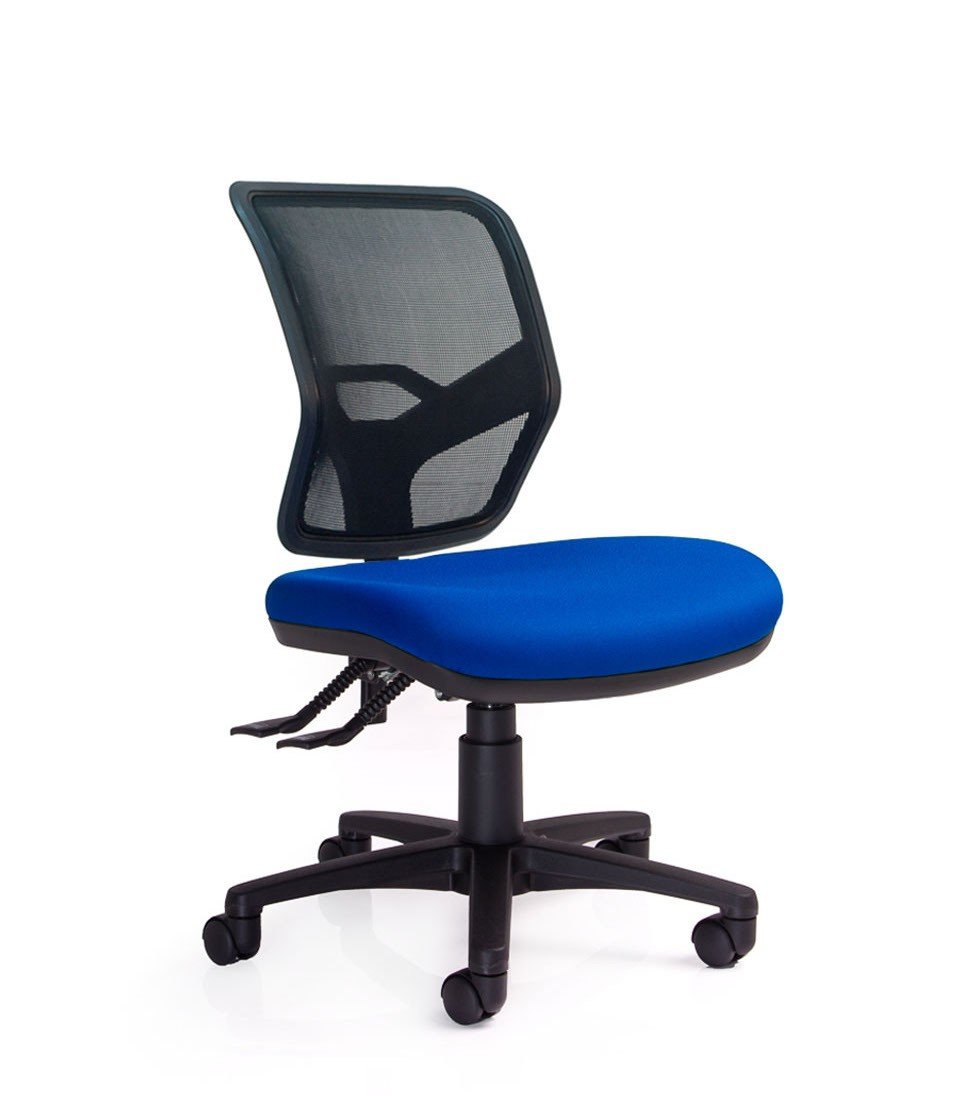 Rexa Mesh Back Task Chair