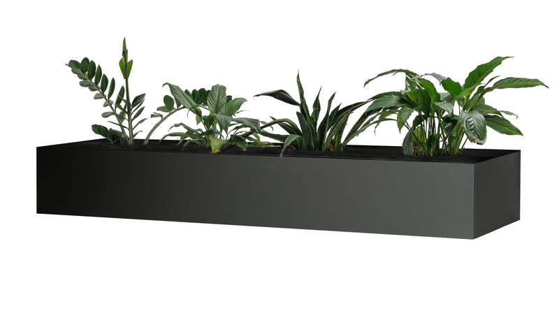 Black GO office planter box with plant cut-outs