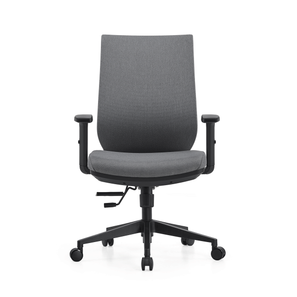 Lyra Elan Ergonomic Mesh Chair