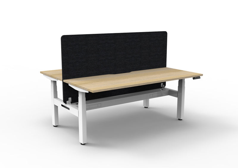 Boost+ back to back sit stand desk with privacy screen in modern office