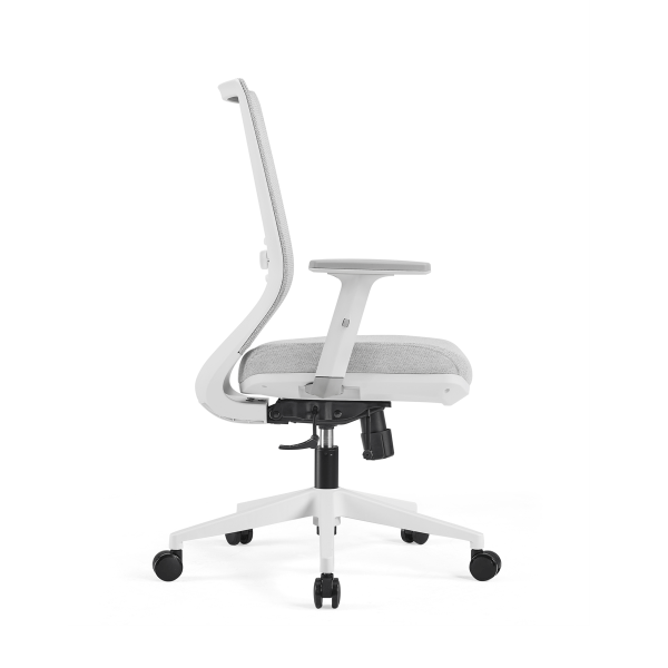 Lyra Elan Ergonomic Mesh Chair