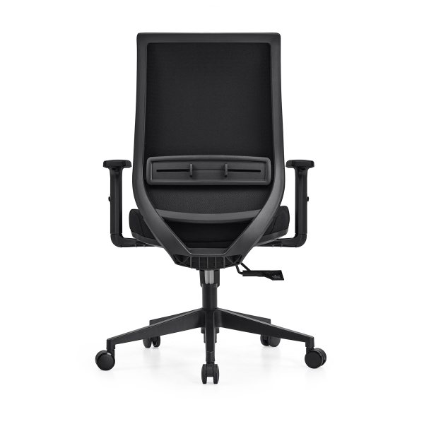 Lyra Elan Ergonomic Mesh Chair