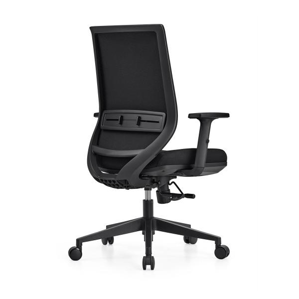 Lyra Elan Ergonomic Mesh Chair