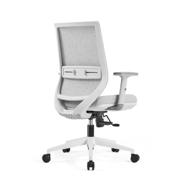 Lyra Elan Ergonomic Mesh Chair