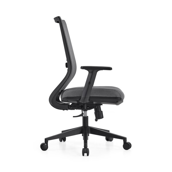 Lyra Elan Ergonomic Mesh Chair