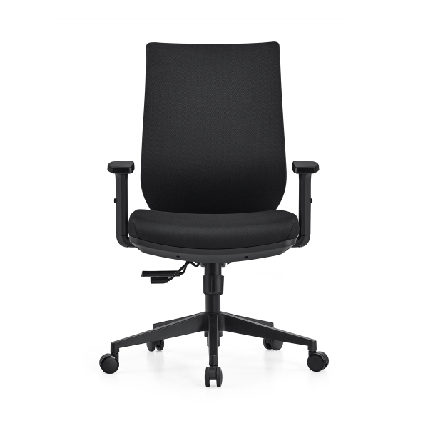 Lyra Elan Ergonomic Mesh Chair