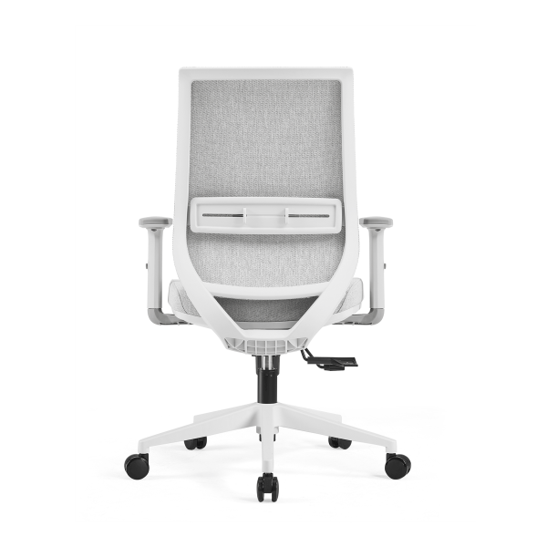 Lyra Elan Ergonomic Mesh Chair