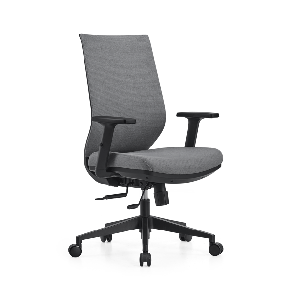 Lyra Elan Ergonomic Mesh Chair