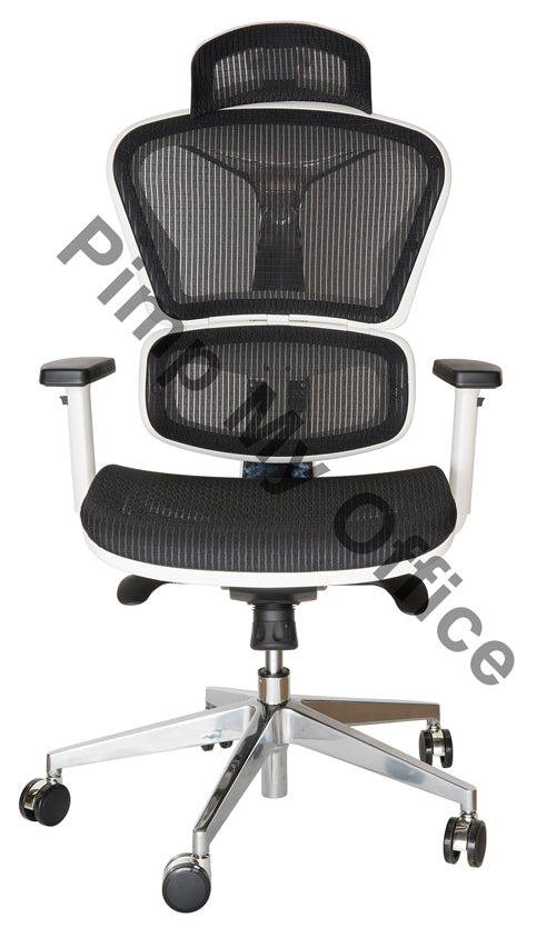 Ergohuman Chairs