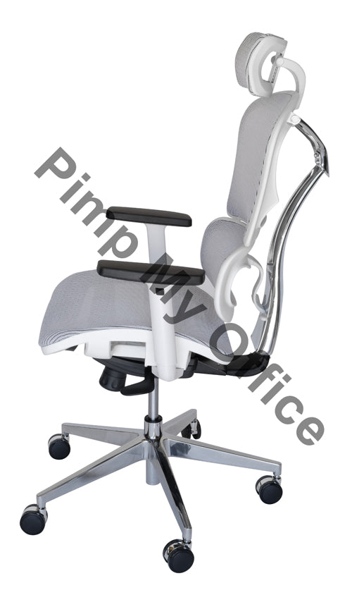 Ergohuman Ergonomic Japanese Mesh Desk / Office Chair